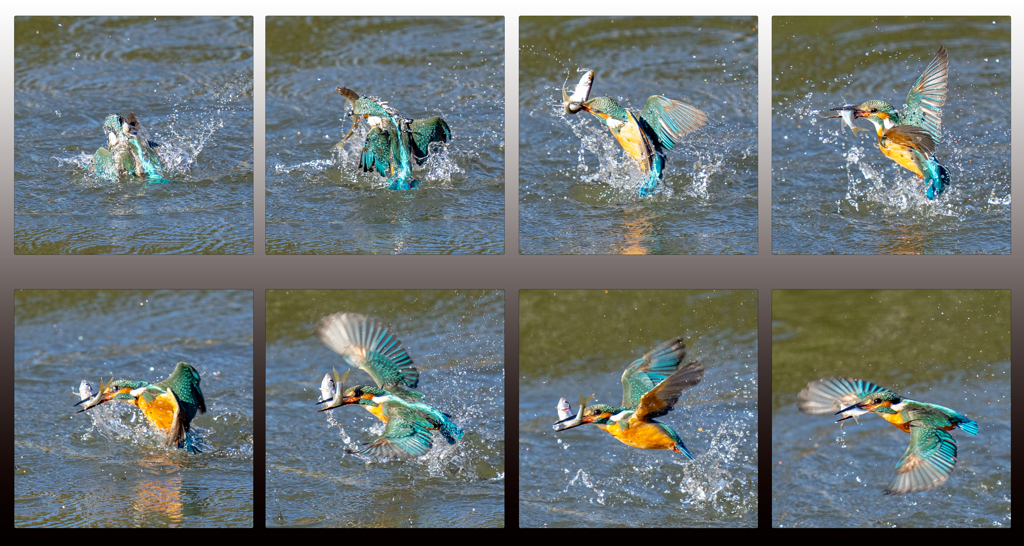 竿頭コラージュ