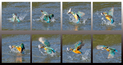 竿頭コラージュ