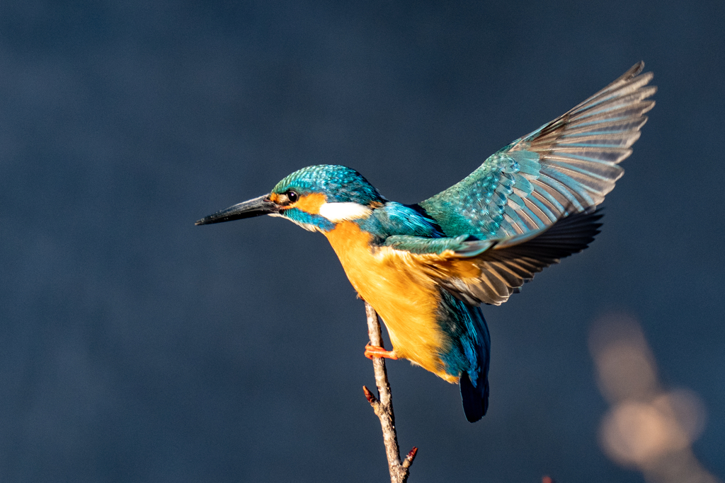 いきそうでいかない