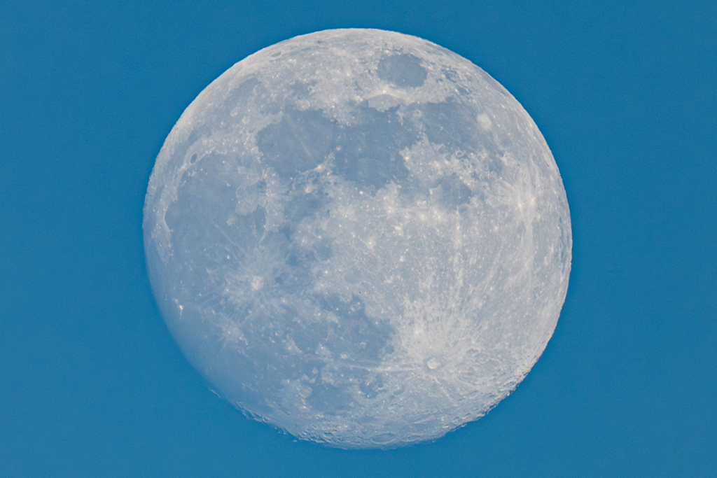 クリスマスムーン