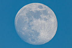 クリスマスムーン