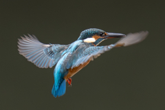 アンチエイジング