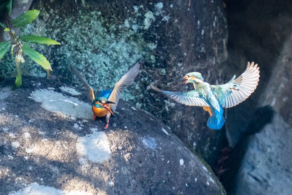 戦い三景その三