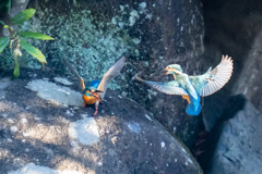 戦い三景その三