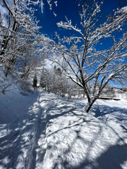 雪景色