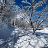 雪景色