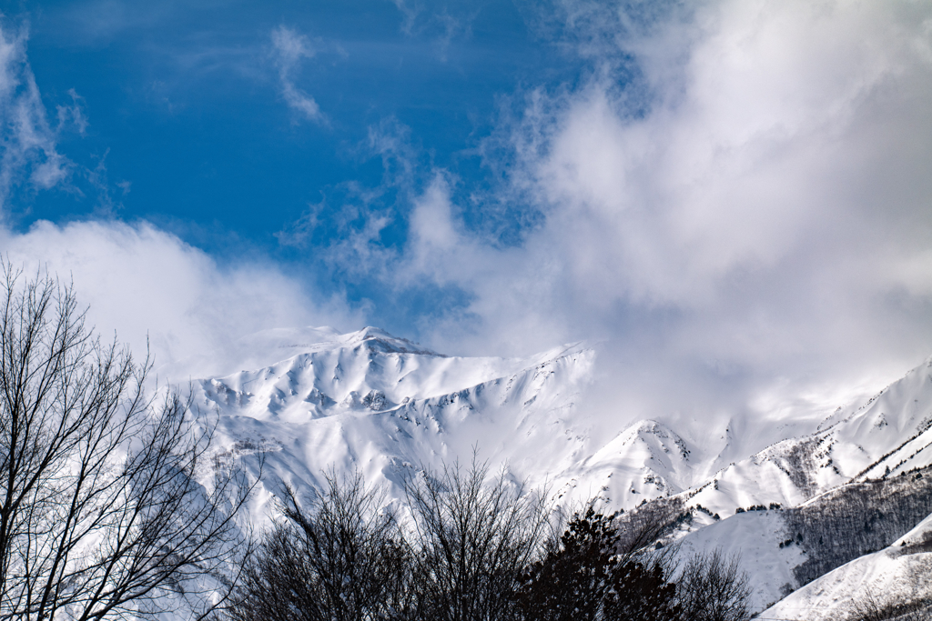 今日の雪山