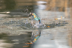 謹賀新年　2023新春ダイブ