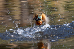 DSC01173