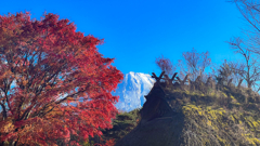 紅葉雪山