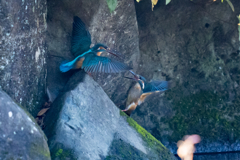 戦い三景その二