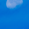 ブルームーン
