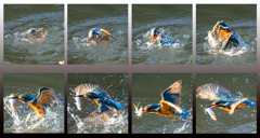 次頭コラージュ