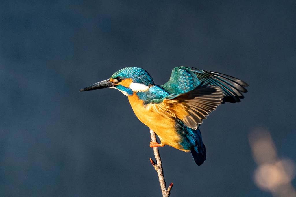 いきそうでいかない