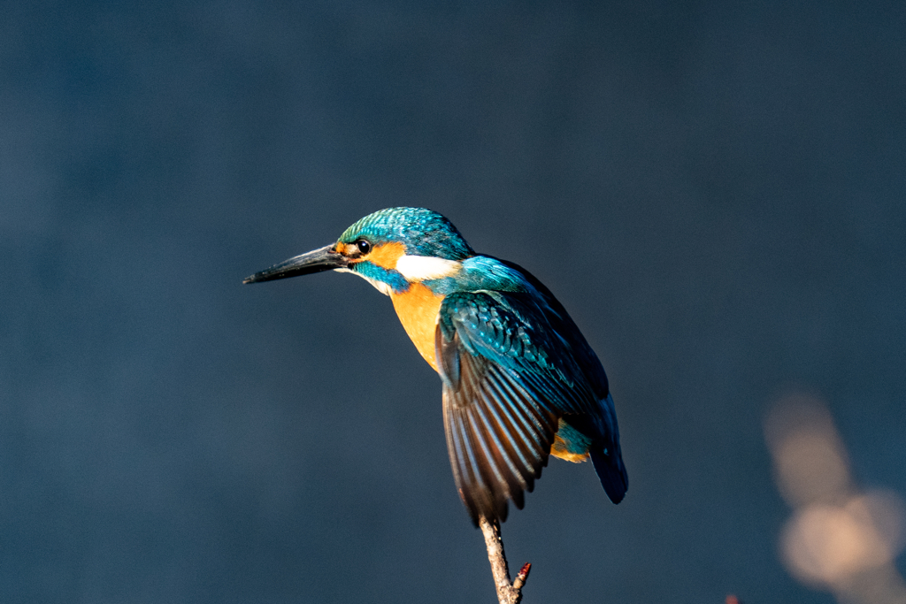 いきそうでいかない