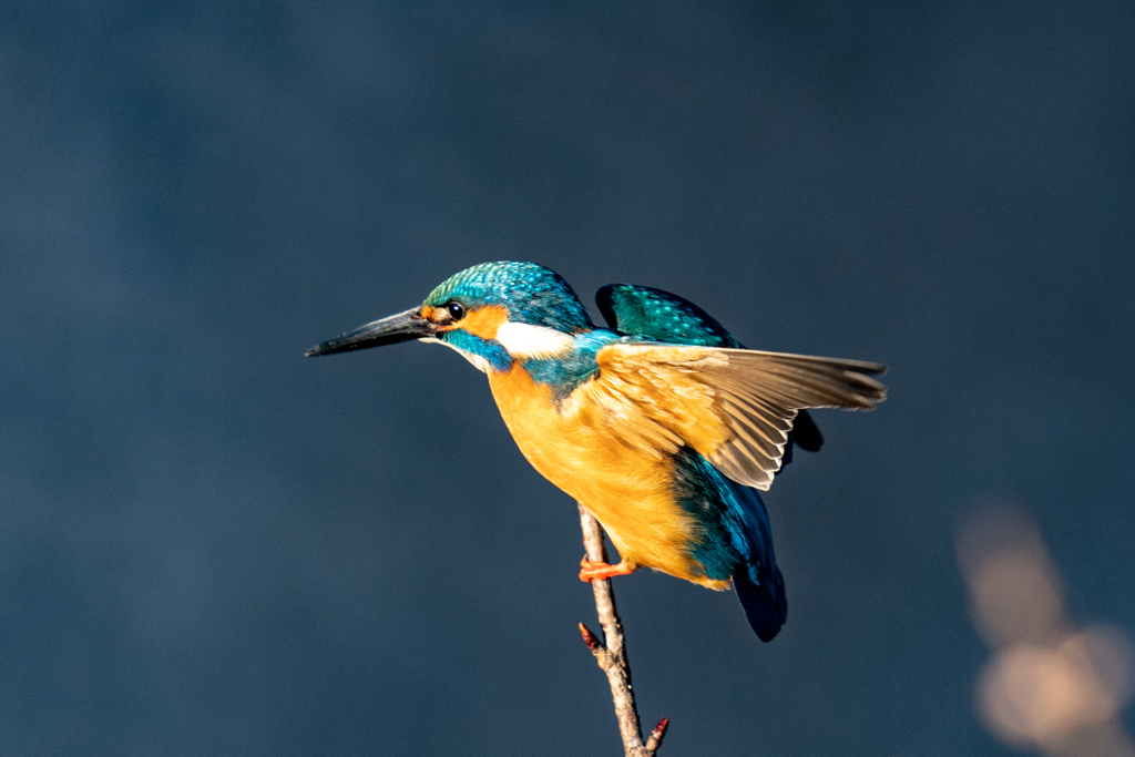 いきそうでいかない