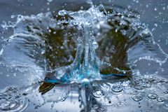 DSC05688