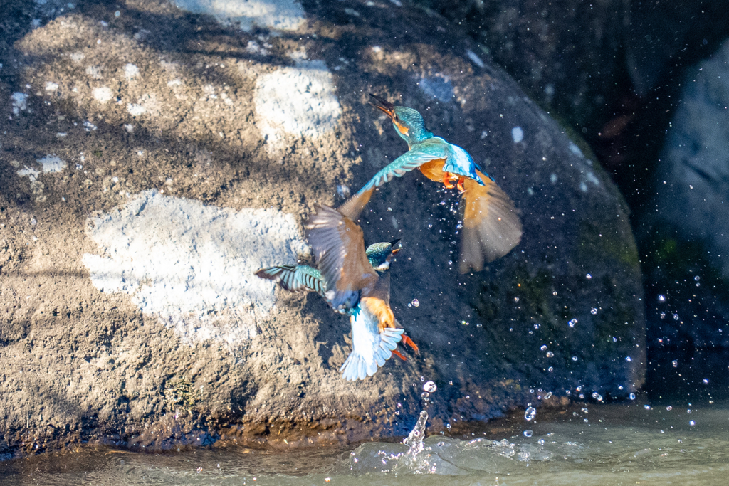 戦い三景その一