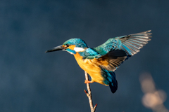 いきそうでいかない