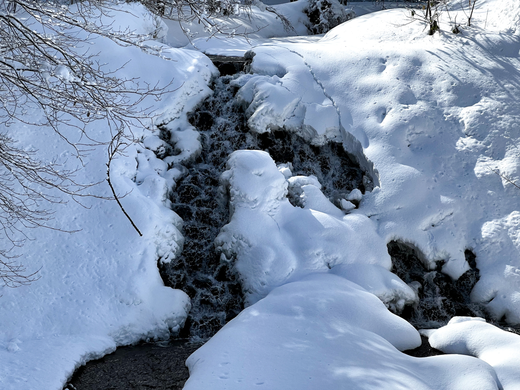 立春の雪景色