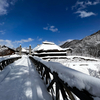 立春の雪景色