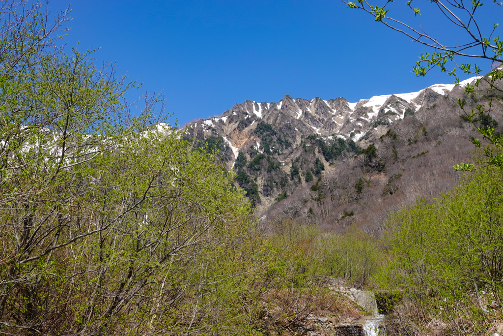 春の雪山