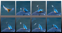 クリスマスプレゼント