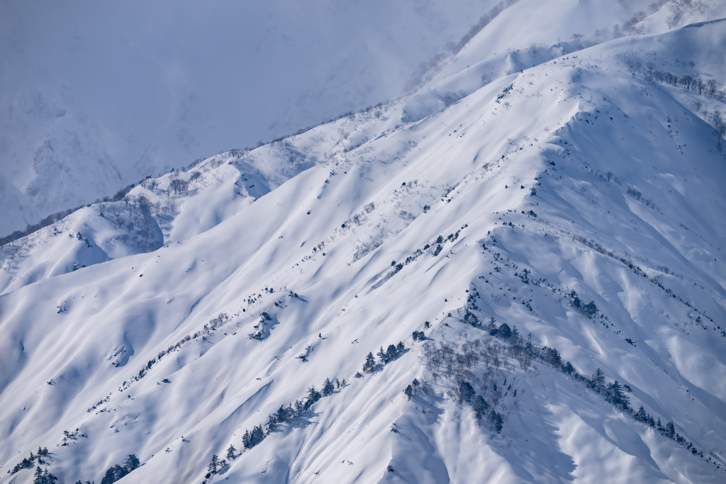 今日の雪山