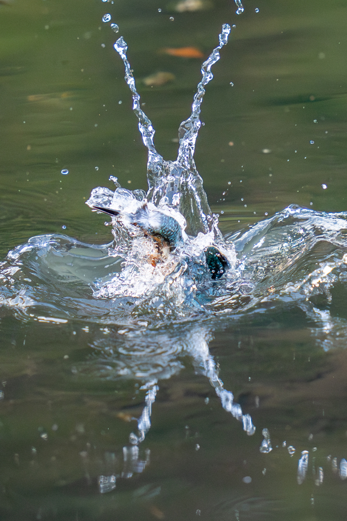 X スプラッシュ