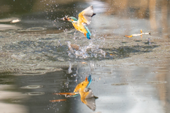 謹賀新年　2023新春ダイブ