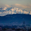 桜と雪山