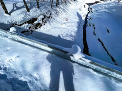 雪景色