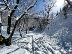 雪景色