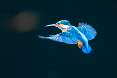 夕日のホバ・伍ノ型