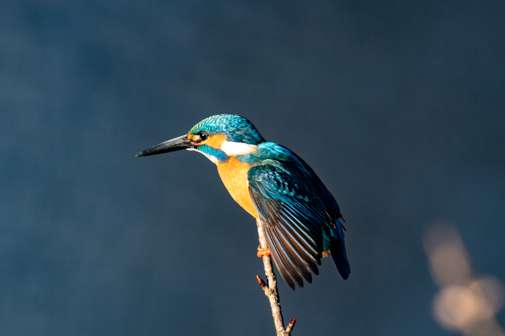 いきそうでいかない