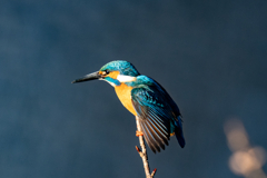 いきそうでいかない