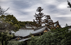 寒川神社