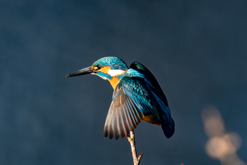 いきそうでいかない