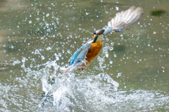 水浴び