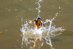 DSC00326
