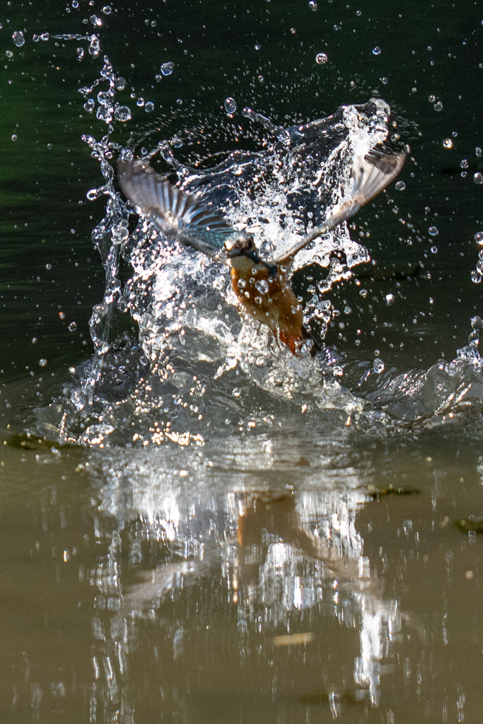 リフレクション