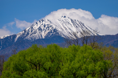 春の雪山