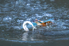 バラシの瞬間 その三