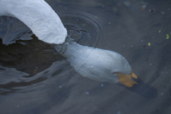 2022年最後の投稿