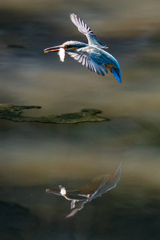 リフレクション