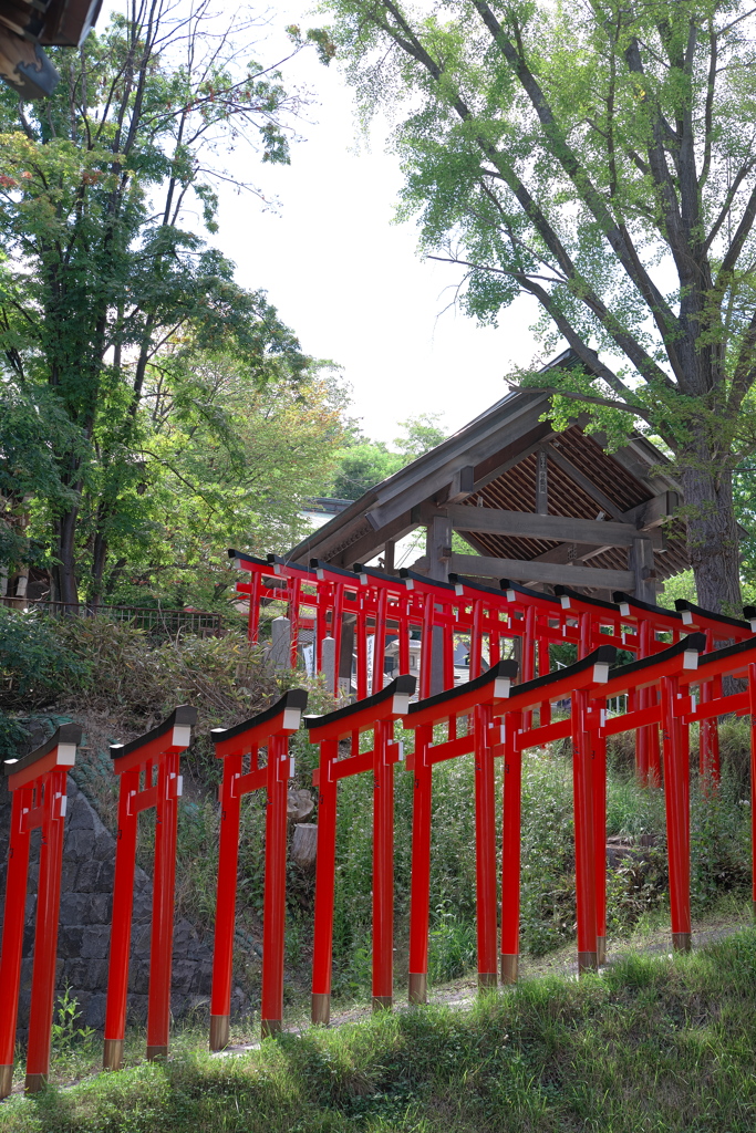 小樽・住吉神社　副参道鳥居...