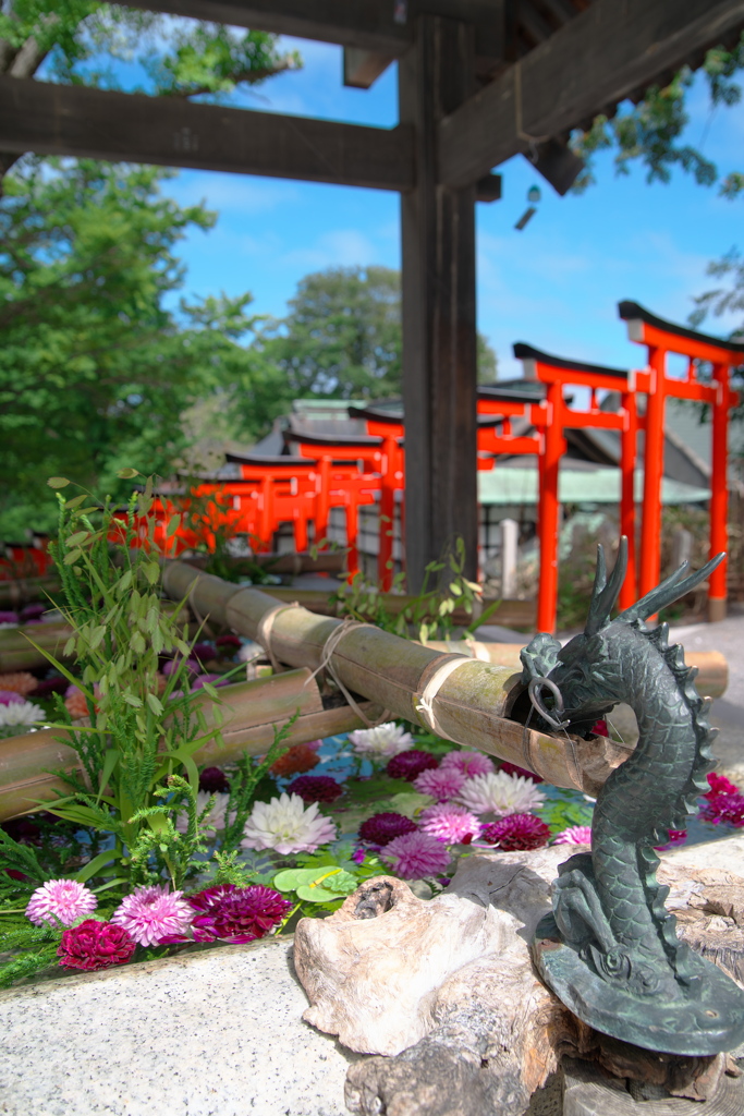 小樽・住吉神社花手水