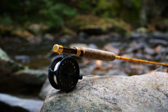 Rod