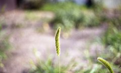 梅雨明け