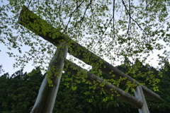 先人の感性